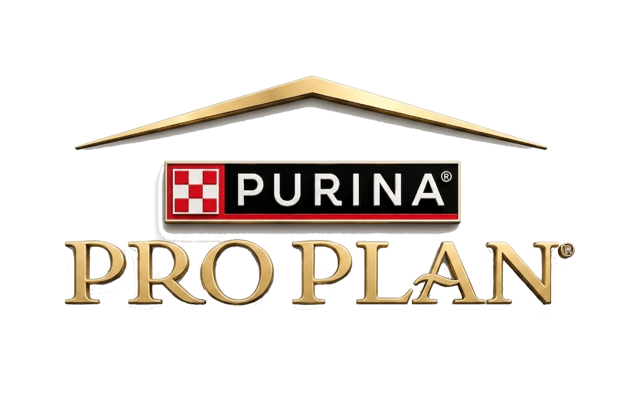 Pro Plan
