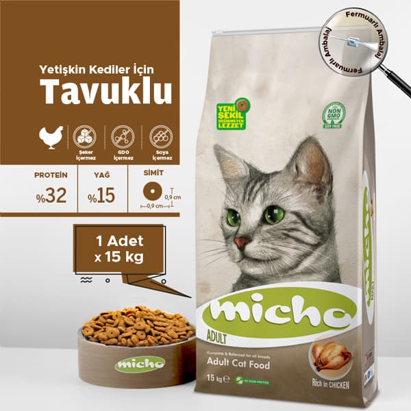 Micho Adult Cat